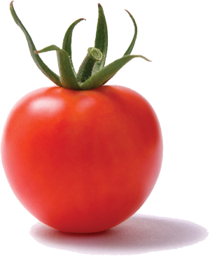 TomatoCutout